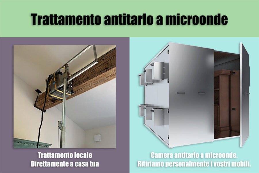 Microwave Radiation Treatment For Wood Mite Control.