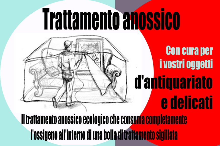 Bite of Wood Mite: Protect Your Home